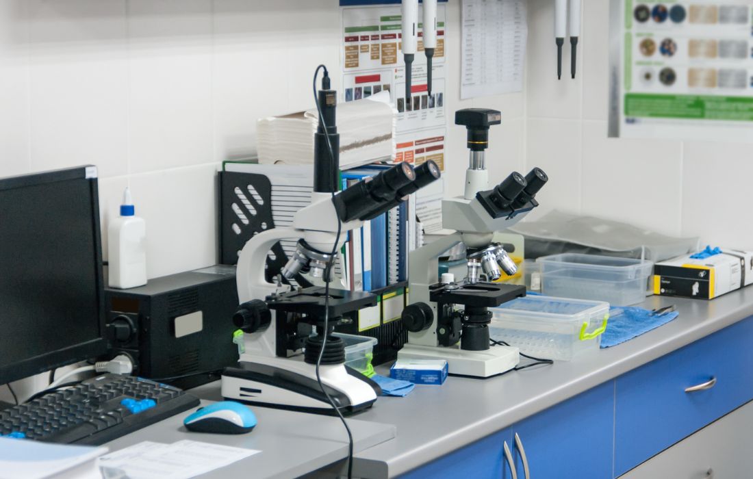 Medical laboratory in the veterinary clinic