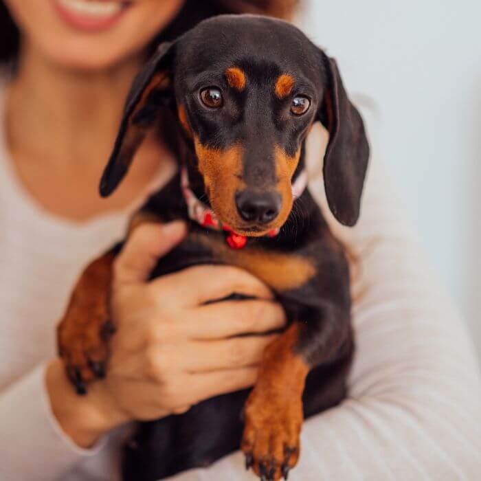 A woman holding a dog