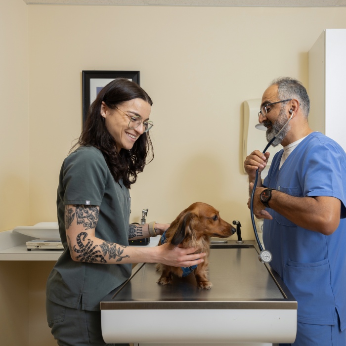 a man and a woman in a lab with a dog